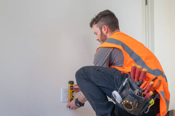 Best Electrical System Inspection  in Hawaiian Paradise Park, HI